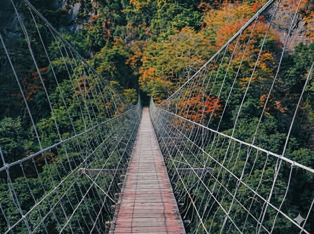 샤카뤄 국가 역사 트레일 (하가로 국가 역사 보도)