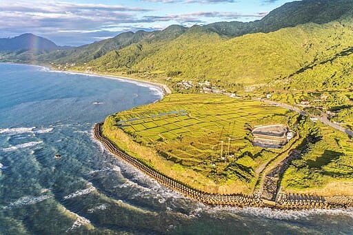 신서 계단식 논