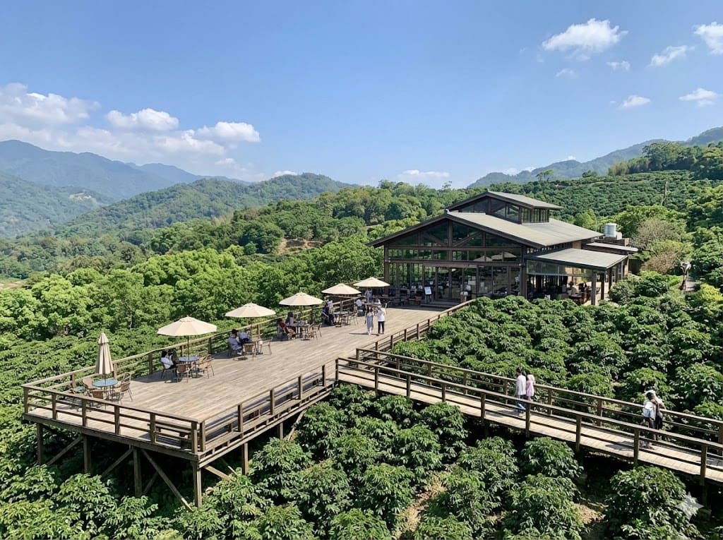 루가오 커피 농장