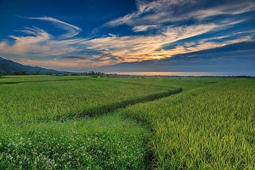창빈 킹콩 애비뉴 (창빈 진강대도)