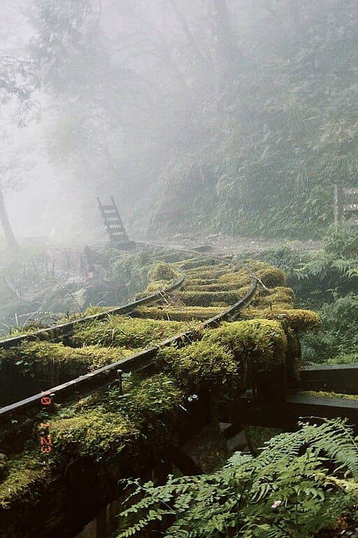 젠칭 화이구 트레일 (견청 회고 보도)