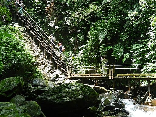 린메이 스판 트레일 (임미석반 보도)