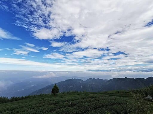 윈링 언덕 (운령지구)