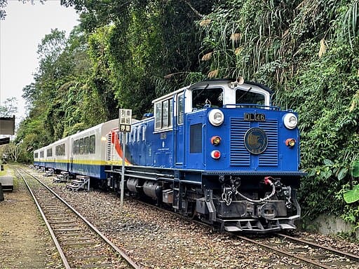 Vivid Train (栩悅號)