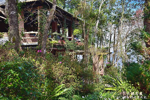 6 Garden (六號花園)