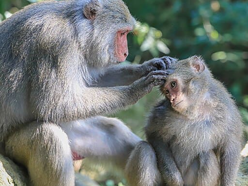 Shoushan National Nature Park (壽山國家自然公園)