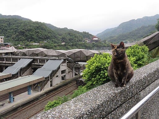 Houtong Cat Village (猴硐貓村)
