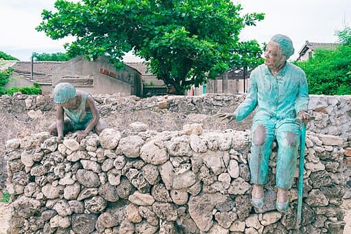 Duxing 10th Village (篤行十村)