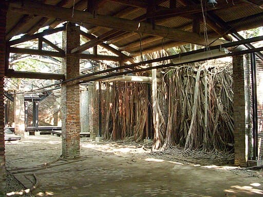 Anping Tree House (安平樹屋)